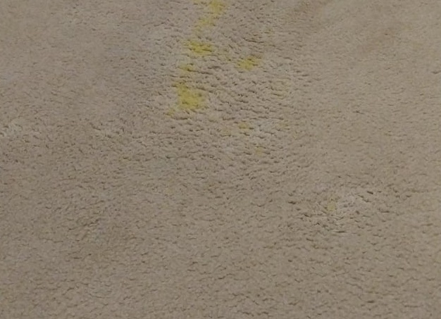 Как быстро и эффективно вывести желтые пятна на белой одежде Как быстро и эффективно вывести желтые пятна на белой одежде