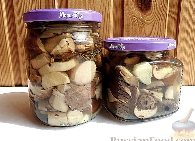 Простые рецепты маринования грибов на зиму