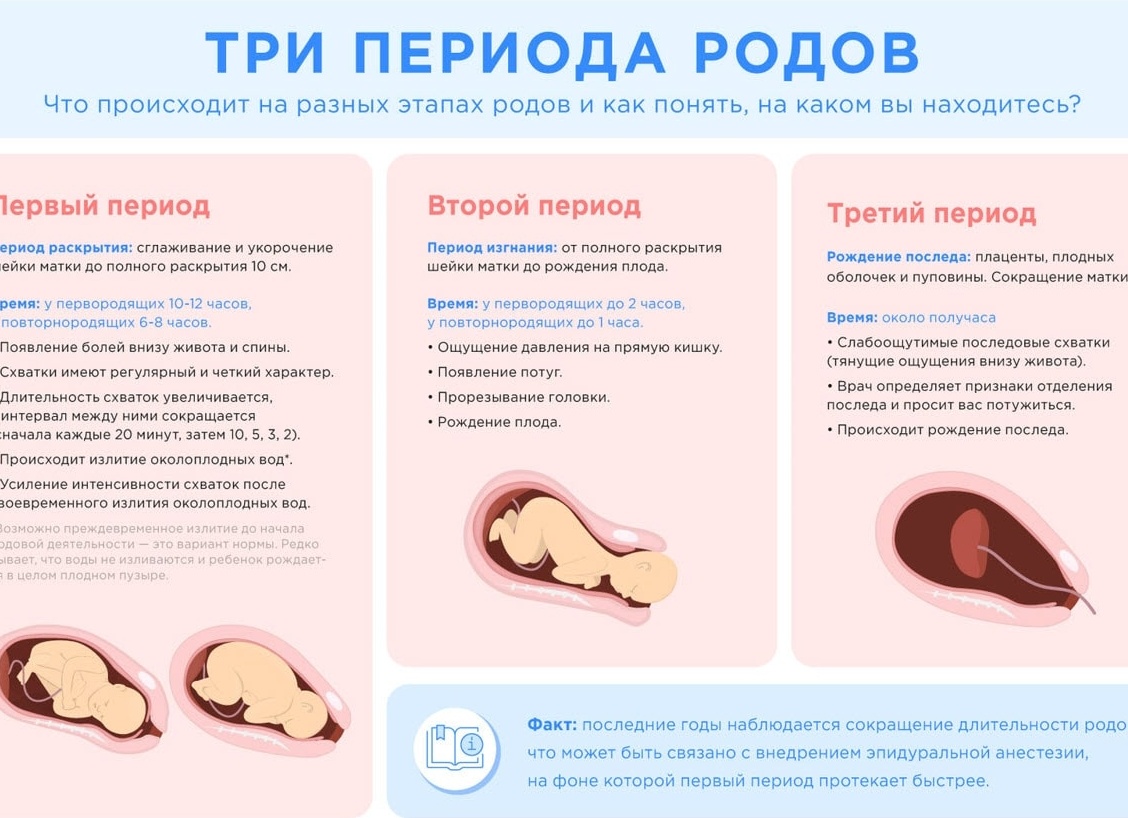 Предвестники родов у повторнородящих на разных неделях беременности