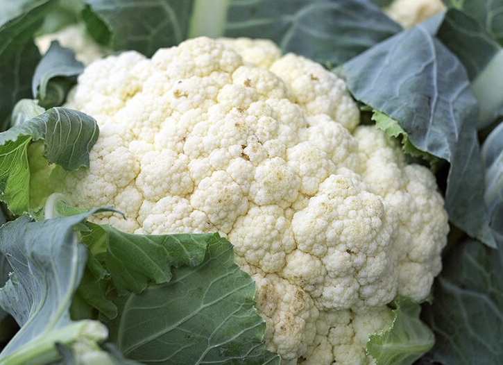 Польза и вред цветной капусты для здоровья человека Польза и вред цветной капусты для здоровья человека