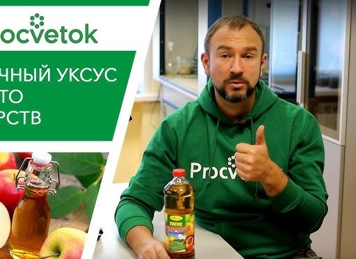 Как правильно пить яблочный уксус для похудения