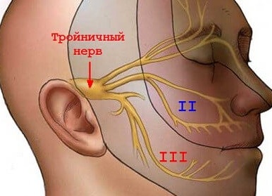 Где находится тройничный нерв и чем его можно лечить