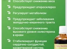 Хороший метаболизм – залог здоровья и стройности Хороший метаболизм – залог здоровья и стройности