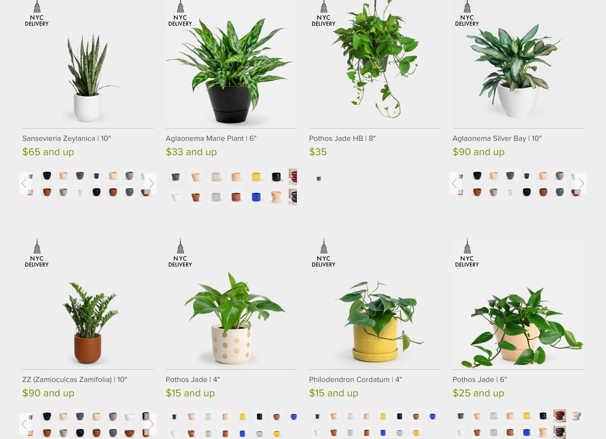 Как выбрать фитолампу для растений Как выбрать фитолампу для растений