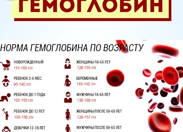 Какими продуктами можно повысить гемоглобин в крови Какими продуктами можно повысить гемоглобин в крови