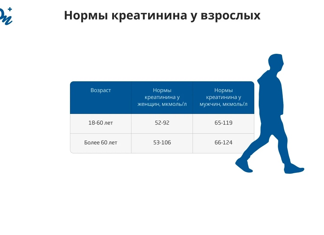 Норма креатинина в крови у женщин, причины и симптомы отклонений Норма креатинина в крови у женщин, причины и симптомы отклонений