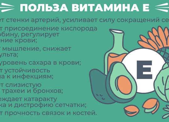 Для чего полезен витамин Е и как его правильно принимать Для чего полезен витамин Е и как его правильно принимать