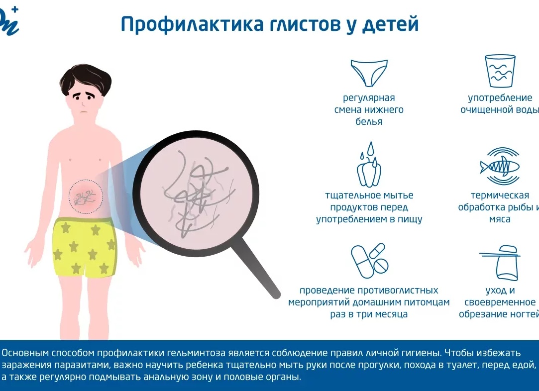 Как вывести глисты у детей и взрослых народными средствами