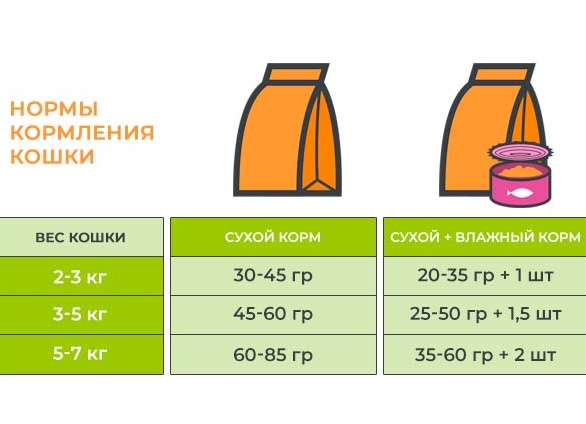 Как правильно кормить кошку сухим кормом