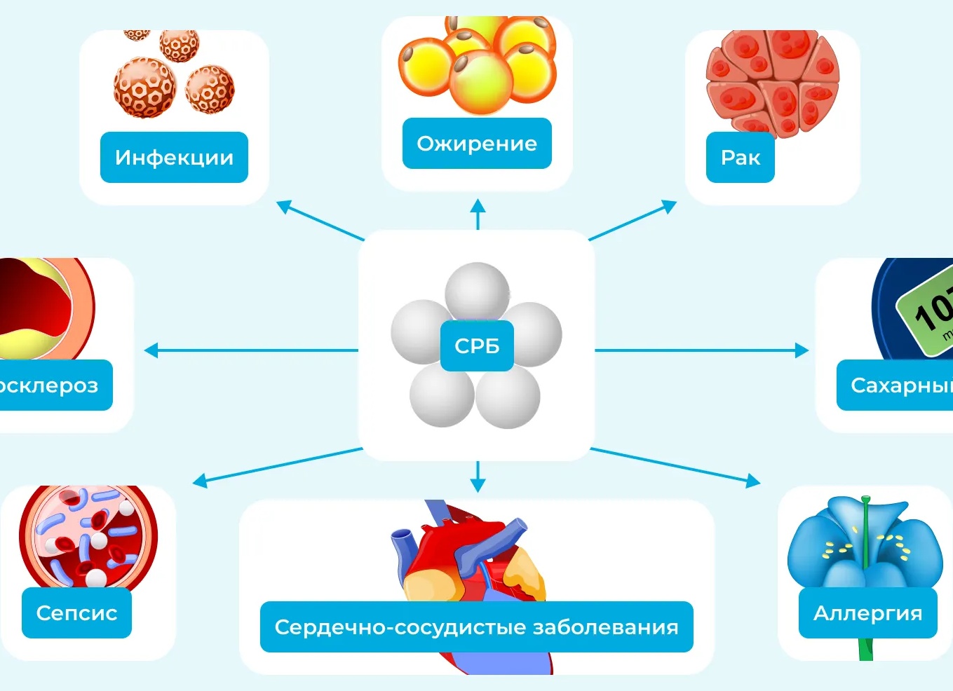 Норма и причины повышения С-реактивного белка в организме